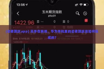 (忍者跳跃app) 高手在民间，华为手机里的忍者跳跃是如何炼成的？