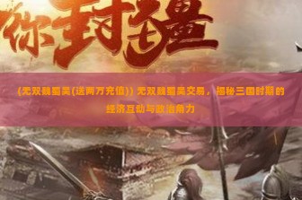 (无双魏蜀吴(送两万充值)) 无双魏蜀吴交易，揭秘三国时期的经济互动与政治角力